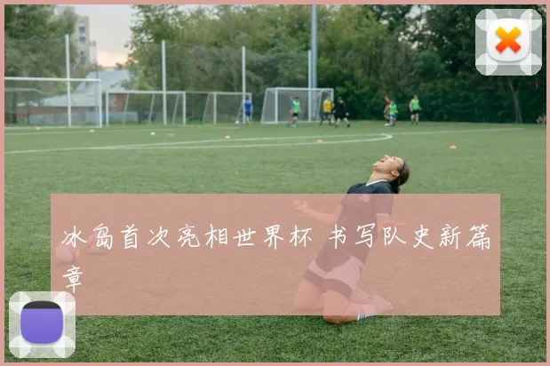 冰岛首次亮相世界杯 书写队史新篇章