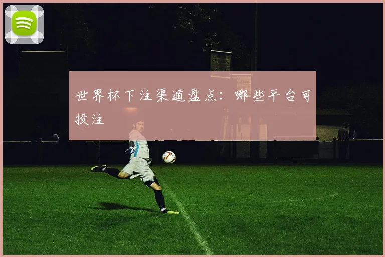 世界杯下注渠道盘点:哪些平台可投注